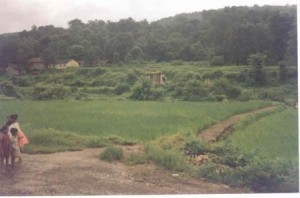 Malnutrition Project