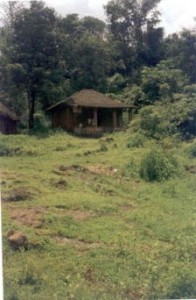 Malnutrition Project